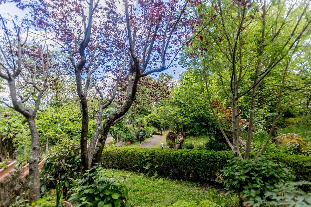 Il Boschetto Di Castagni Bed and Breakfast Soriano nel Cimino Eksteriør billede